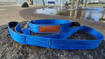 Tuff Dog 25mm Yard Collar & Lead