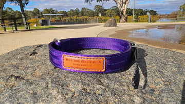 Tuff Dog 25mm Yard Collar