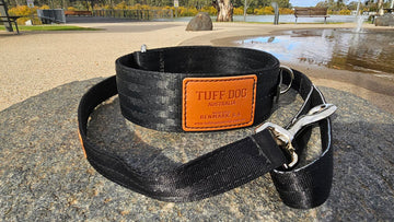 Tuff Dog 50mm Yard Collar & Lead