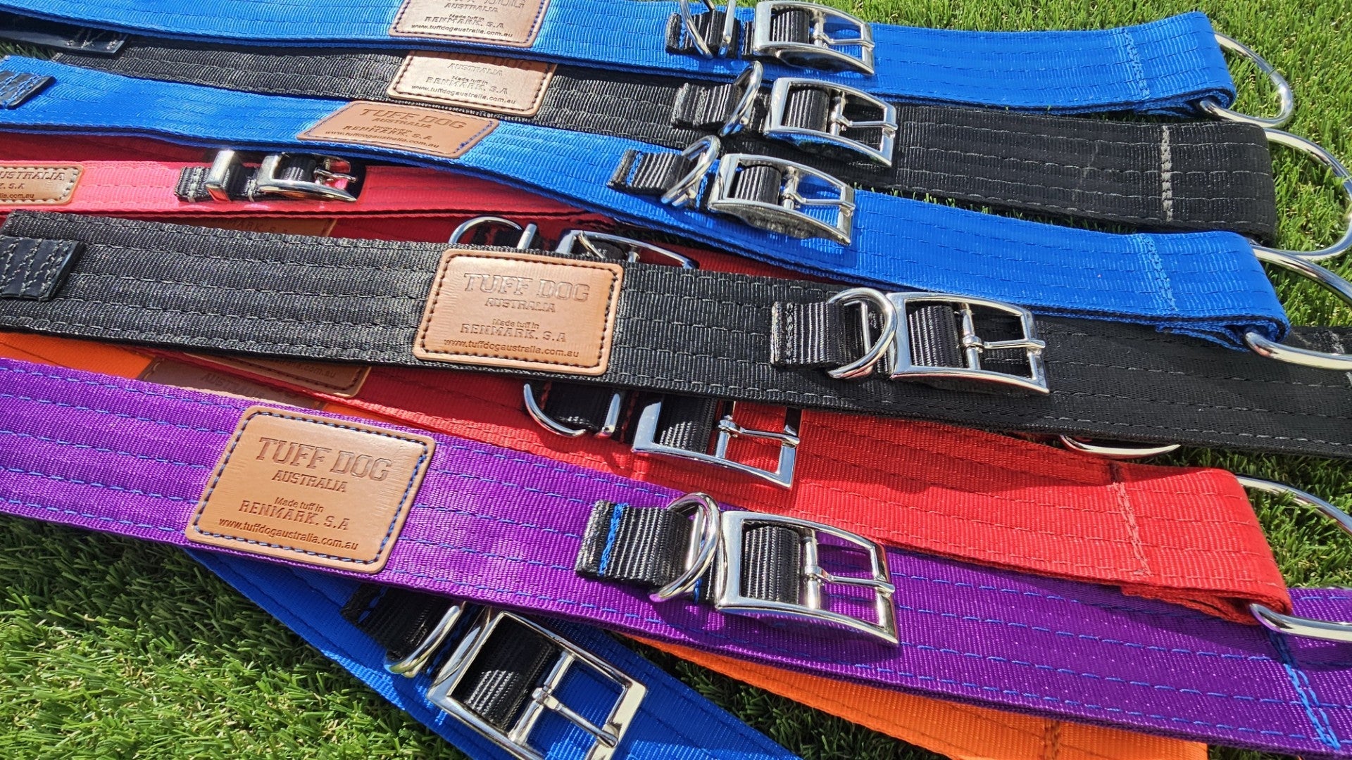 Dog Collars & Leads
