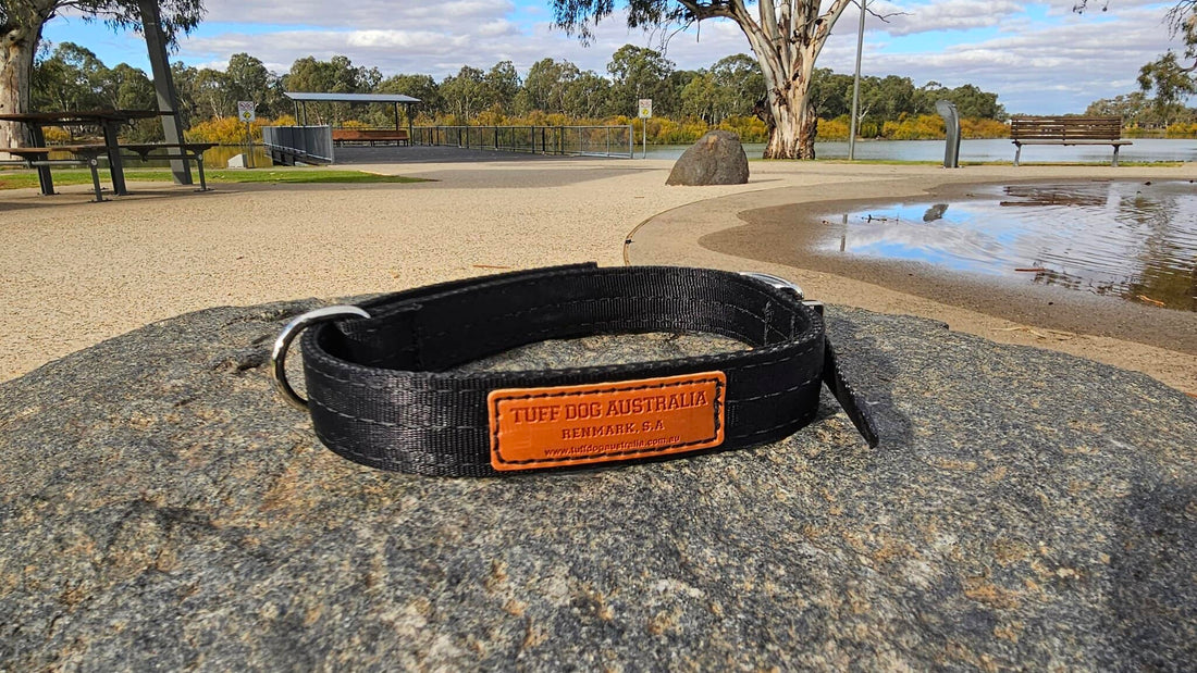 Tuff Dog 25mm Yard Collar