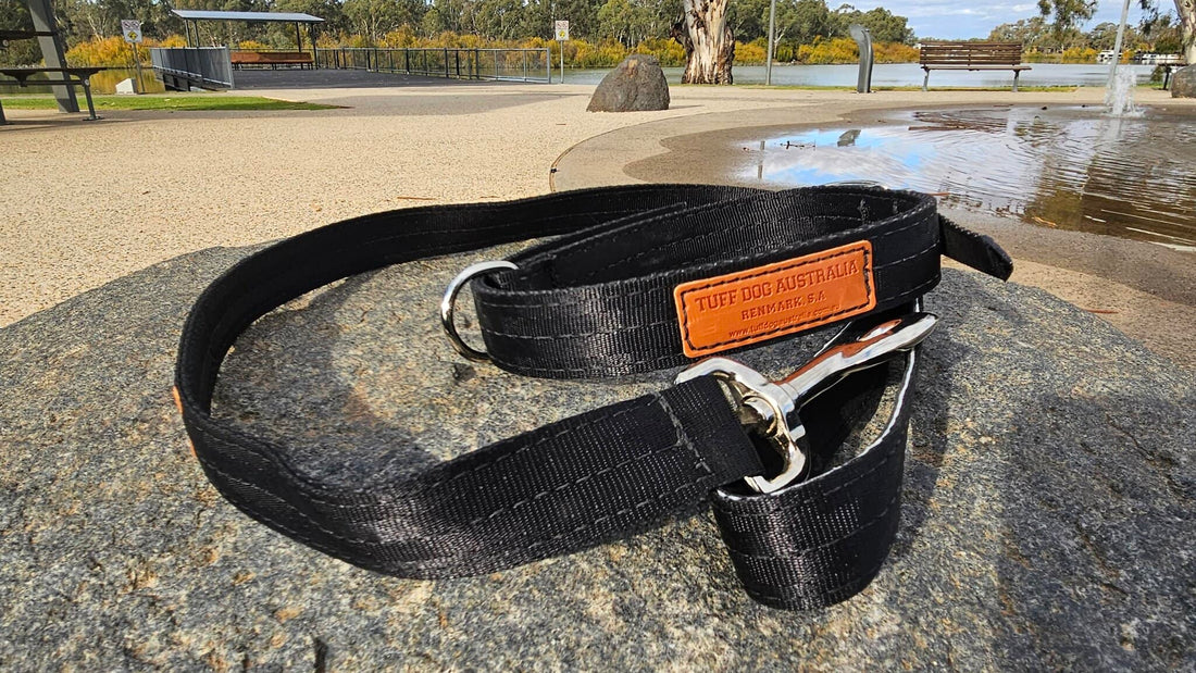 Tuff Dog 25mm Yard Collar & Lead