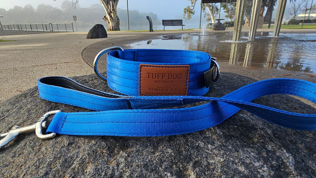 Tuff Dog 50mm Yard Collar & Lead
