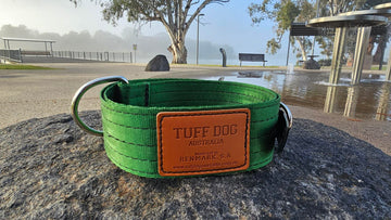 Tuff Dog 50mm Yard Collar