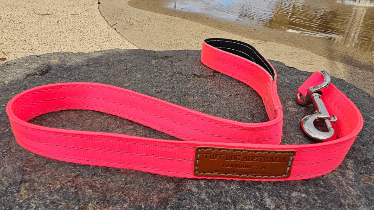 Tuff Dog Lead 25mm